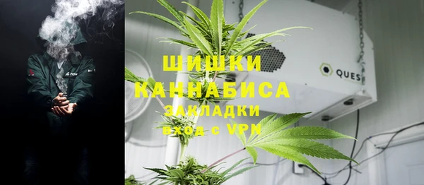 ПСИЛОЦИБИНОВЫЕ ГРИБЫ Краснослободск