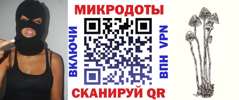 что такое   Онега  кракен сайт  Галлюциногенные грибы Psilocybe 